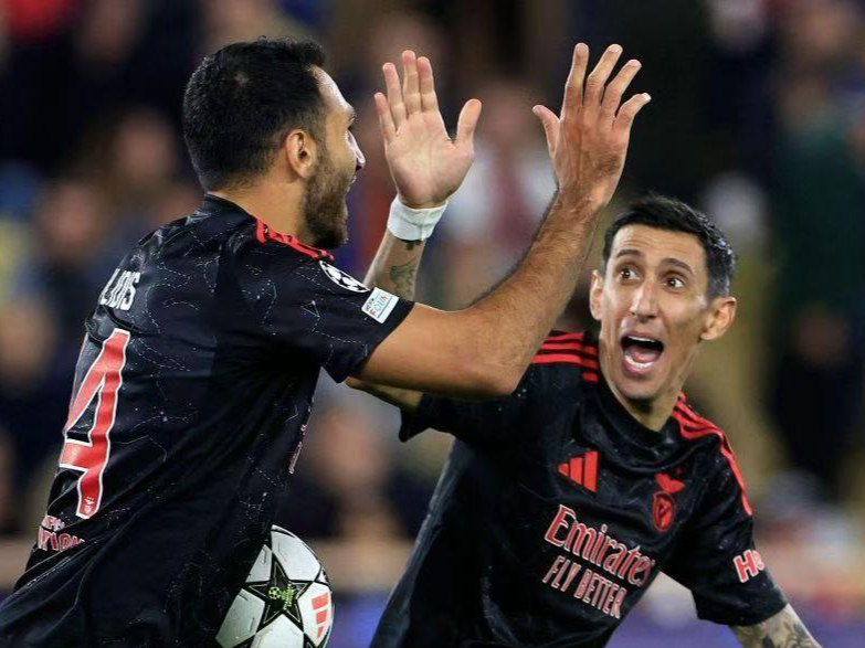 yabo亚博体育下载关于法国杯今晨走向成谜，本菲卡强势反弹，气氛紧张，球队文化再被提及的信息